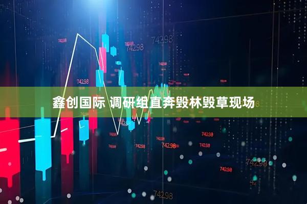 鑫创国际 调研组直奔毁林毁草现场